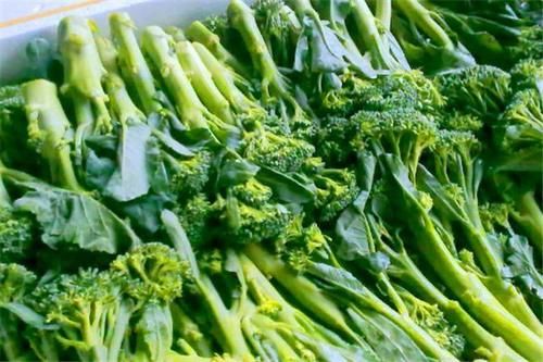 营养|人到中年想长寿，要多吃三种食物，营养丰富，排毒养颜！