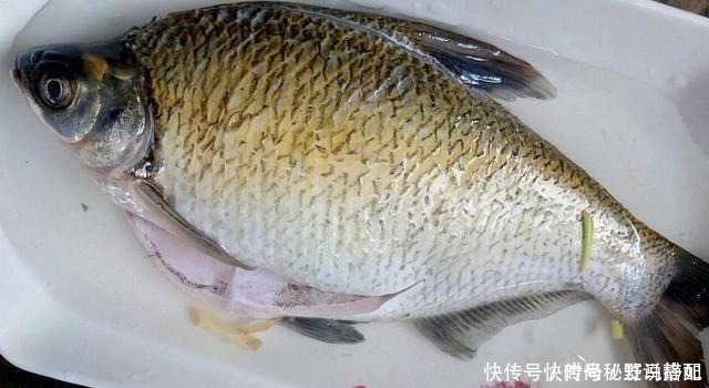 鲜嫩|腌鱼时,加盐腌制是大错,教你正确做法,鱼肉质鲜嫩,没一点腥味
