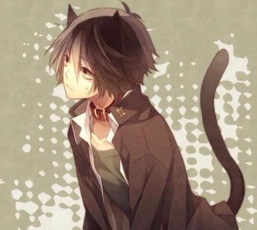 犬系|猫系女子VS犬系女子，你更喜哪一种？动漫猫系受欢迎，现实却相反