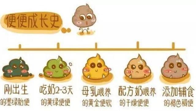 金黄色|便便是孩子健康的“晴雨表”,哪种健康哪种危险?宝妈要心里有数