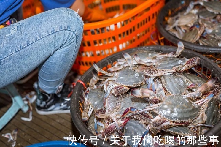 死蟹|挑梭子蟹,个头大未必好,渔民教你4招,个个肉多黄肥,鲜美好吃
