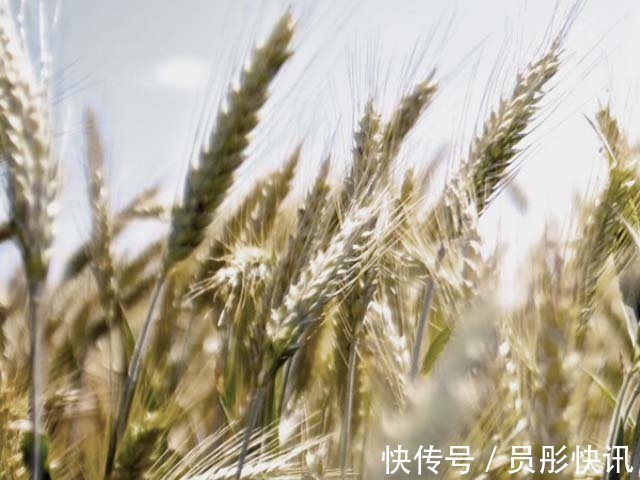 黑豆豆腐|它是预防三高的首选，也是糖尿病朋友的优选食品，补肝益肾好处多