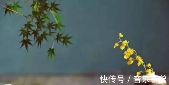 前程$俗语说:人若软弱,易招祸患。每个人尽量别在这三件事上太过软弱