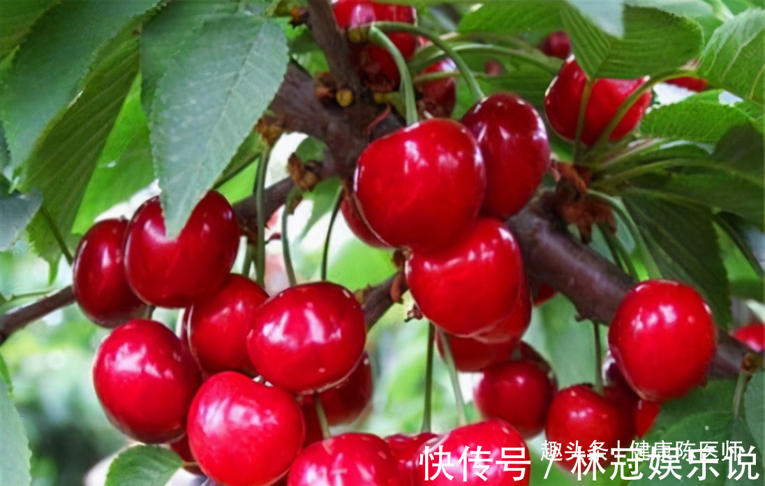 气血|女性想要保持年轻，多吃三种食物，营养丰富，补足气血，改善皮肤