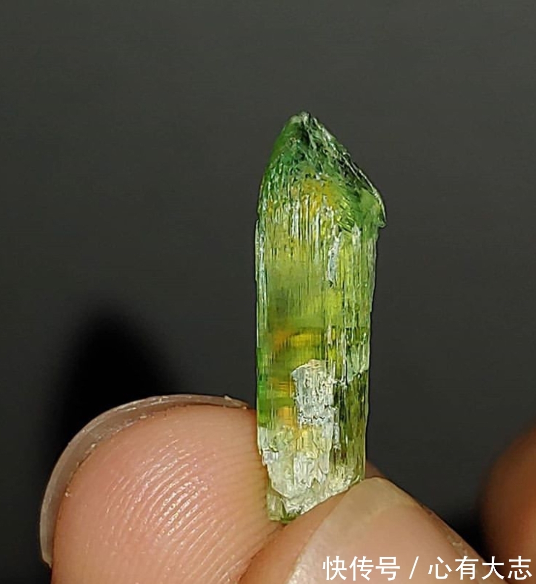 蓝绿色|它的紫色恰似伊丽莎白泰勒的眼睛,它就是传说中的暗夜珠宝明星