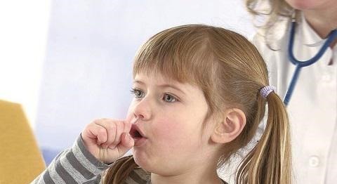 肽菇乳清|三伏天多吃2种水果,身高和体质都提高,孩子长大后会感谢你