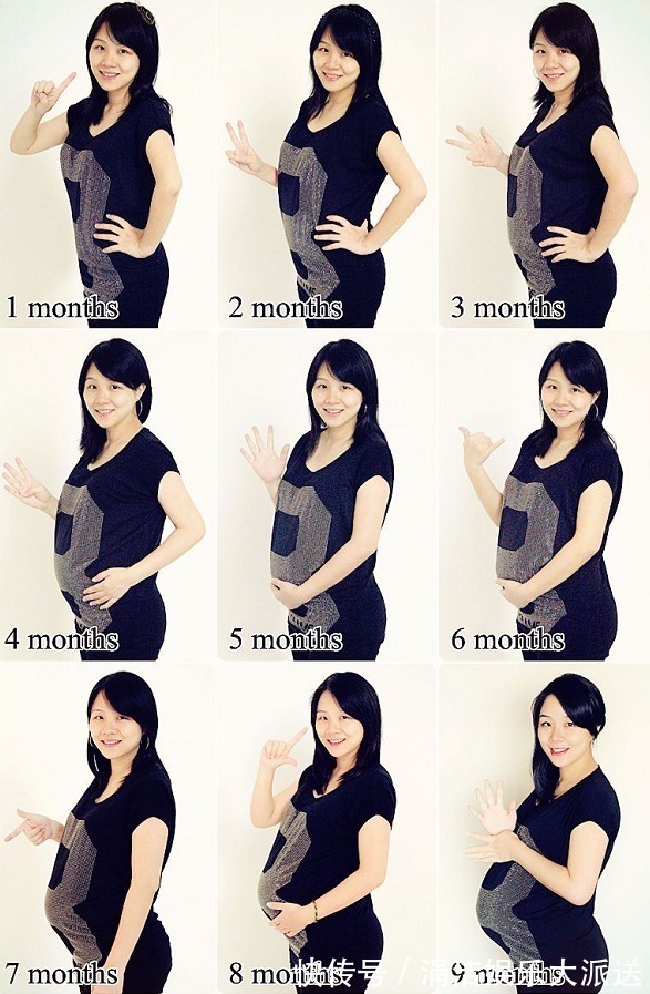 孕期|怀孕有多辛苦五张图带你看看孕期全过程，孕妈们辛苦了