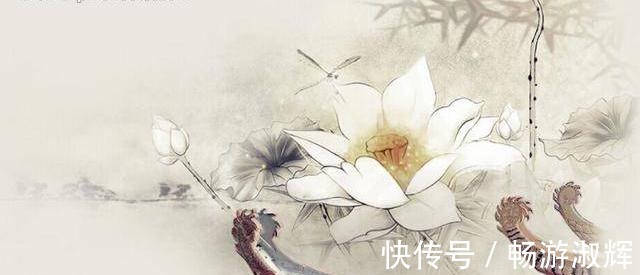 经典&佛家六大经典禅语,体悟智慧与慈悲!