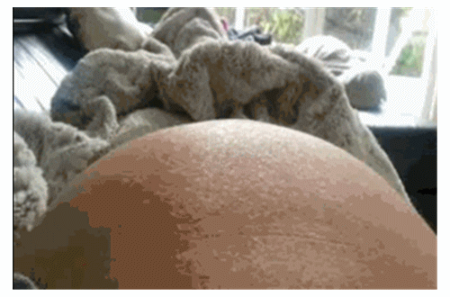 胎儿|一到晚上就频繁胎动并非都是因为淘气,可能是宝宝在传递讯息