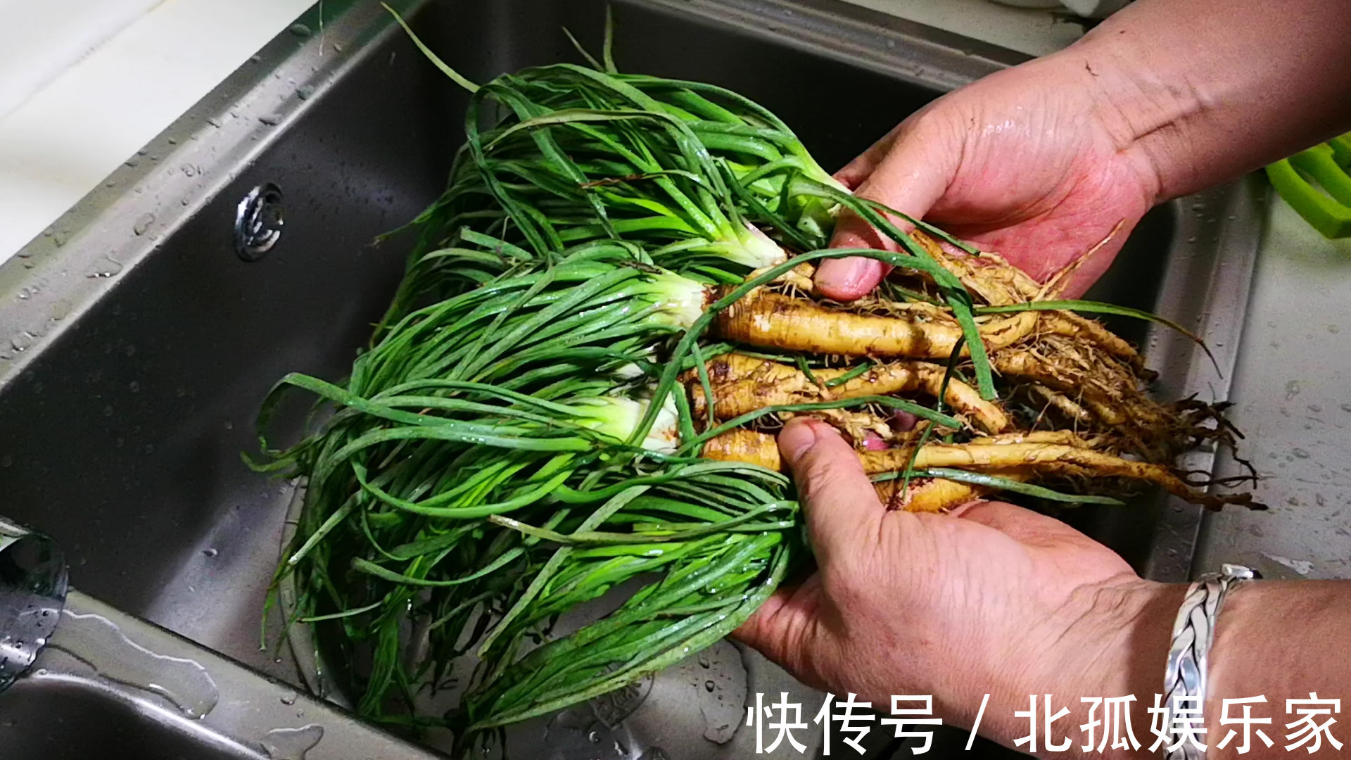 此菜全身都是宝,可惜好多人当草,肠胃不好多吃点,蒸一蒸特香!