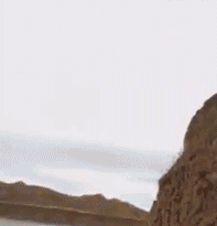 |搞笑GIF:我就在旁边静静地看着,这都是惹谁了?