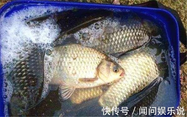 夏季用这么长的子线钓鲫鱼,怪不得你没别人收获好!