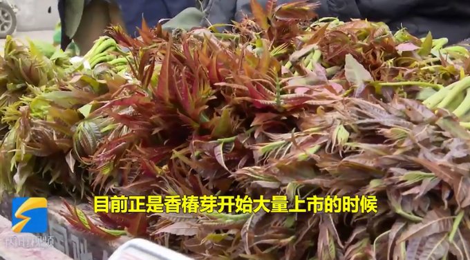 一盤香椿炒蛋下肚“險喪命”！吃這種時鮮菜，中疾控專家特別提醒