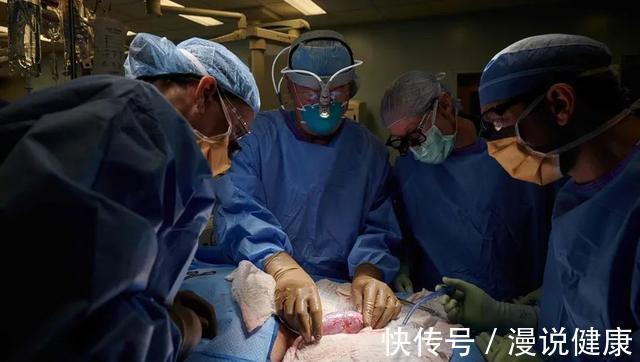 全球|全球首例猪肾移植人体成功:这则新闻,能否改变数十万人的命运?