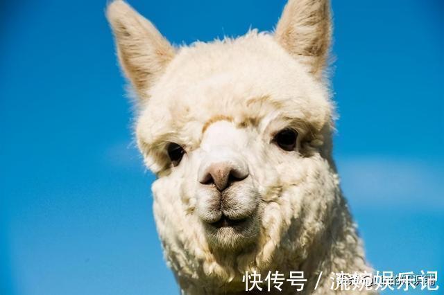 12个冷知识:你可能没听说过,但却一定真实有据