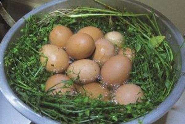 风湿热痹|腰疼的人看过来,此物泡水喝腰腿都舒服了,早看早受益!