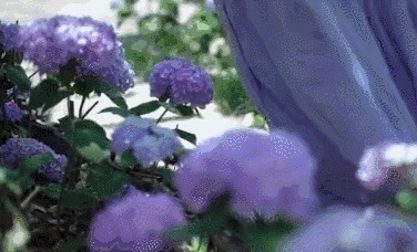 衣服|如果说李子柒的生活对我们不切实际，那她穿的衣服我们倒能学学