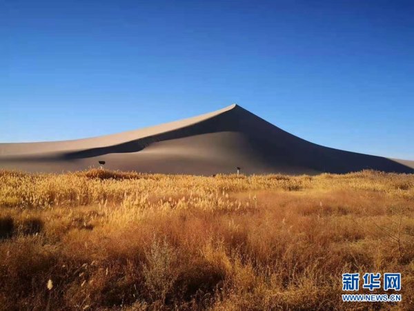 别样|冬日鸣沙山月牙泉风情别样