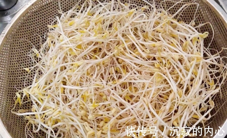 想吃豆芽不用买,教你自己在家种,4天一茬,随吃随种,特省事