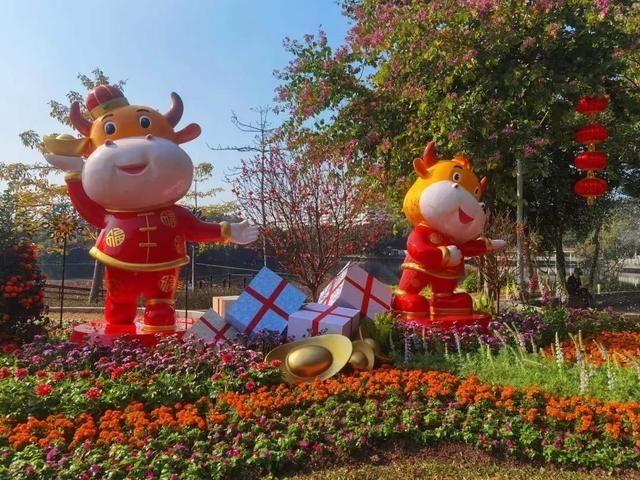 中年|2000平方米花展！流花湖公园11组主题景观华丽亮相