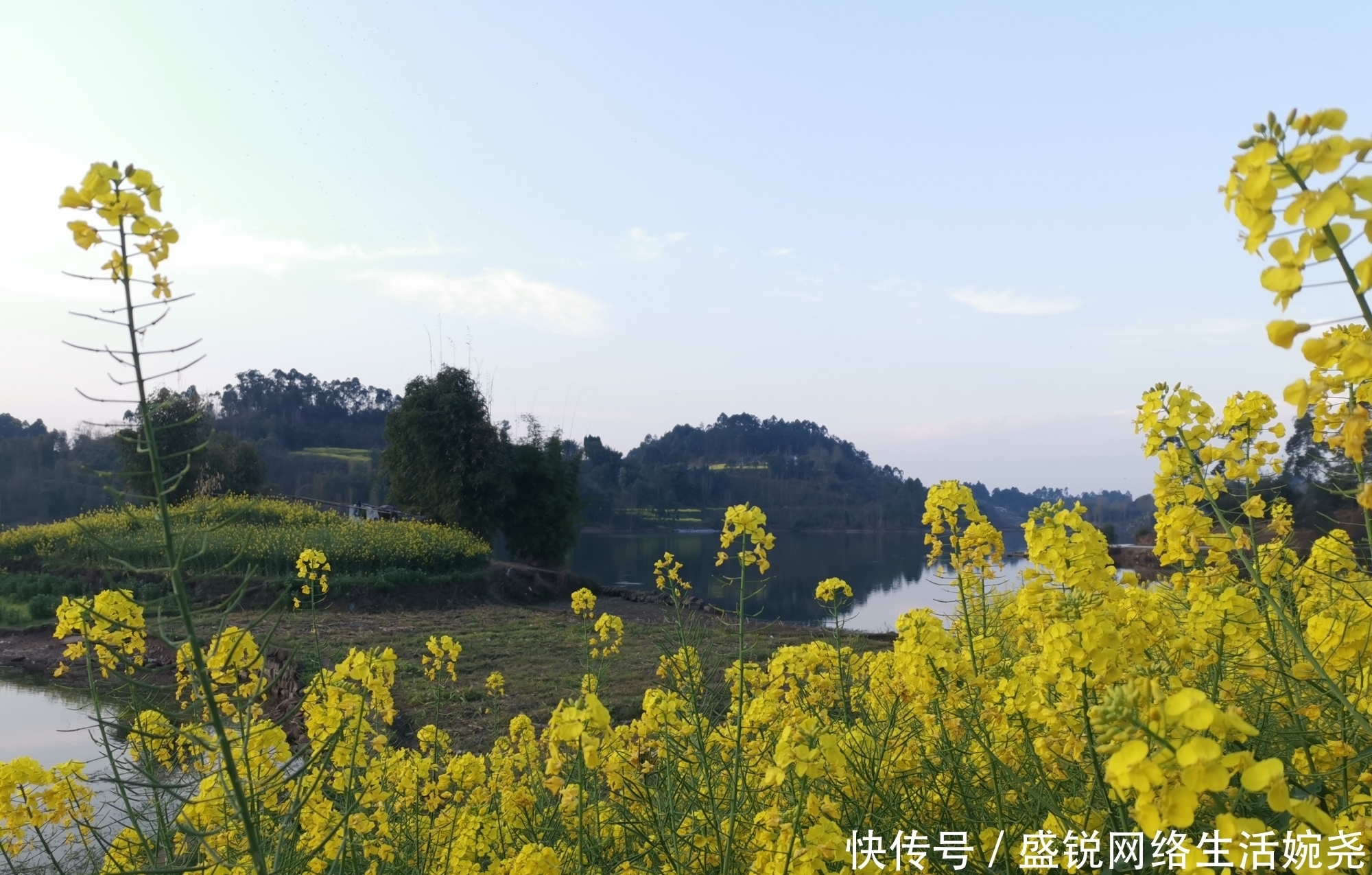 春季外出钓鱼,这3种天气别错过,把握好了让你渔获翻倍