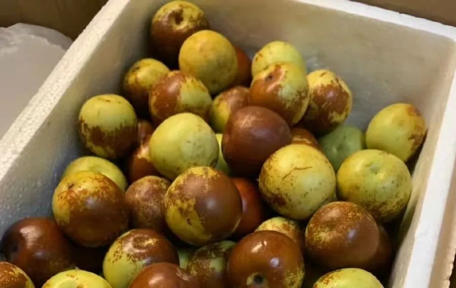 脾胃|冬天这水果“偷”走免疫,损伤脾胃,却是很多人心头爱! 早知早好