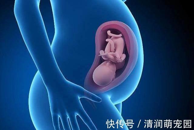 发育|胎儿进入猛涨期的四类“信号”,妈妈要能捕捉到,宝宝才能长得好
