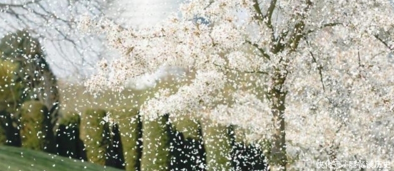 忧愁#李煜水平很高的一首词,通篇都在描写忧愁,可是却没有一个愁字!