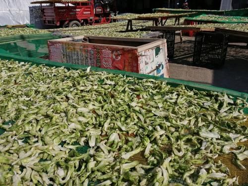 什刹海|亲历｜金甲古镇搭帐篷、晒太阳、看夕阳