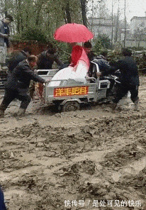 |搞笑GIF趣图:劈叉我见多了,但是这样的真没见过