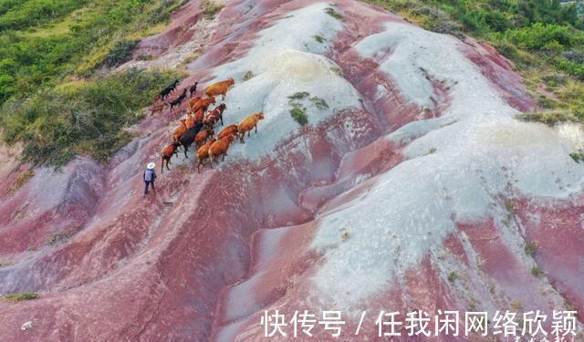 曲靖|云吧｜曲靖马龙张安屯“丹霞”地貌下藏着亿年前鱼化石