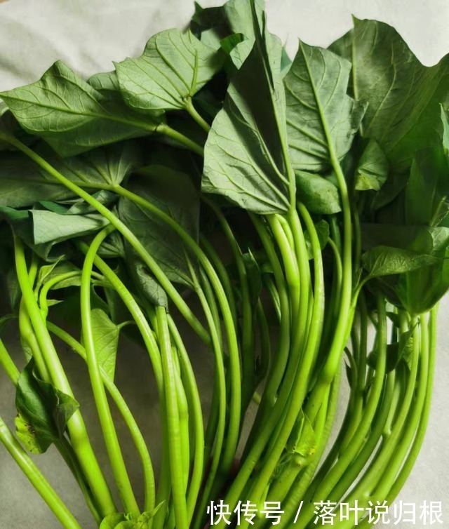 这菜农村到处有,城里8块一斤,比鸡鸭肉强,视力清晰,身体强壮