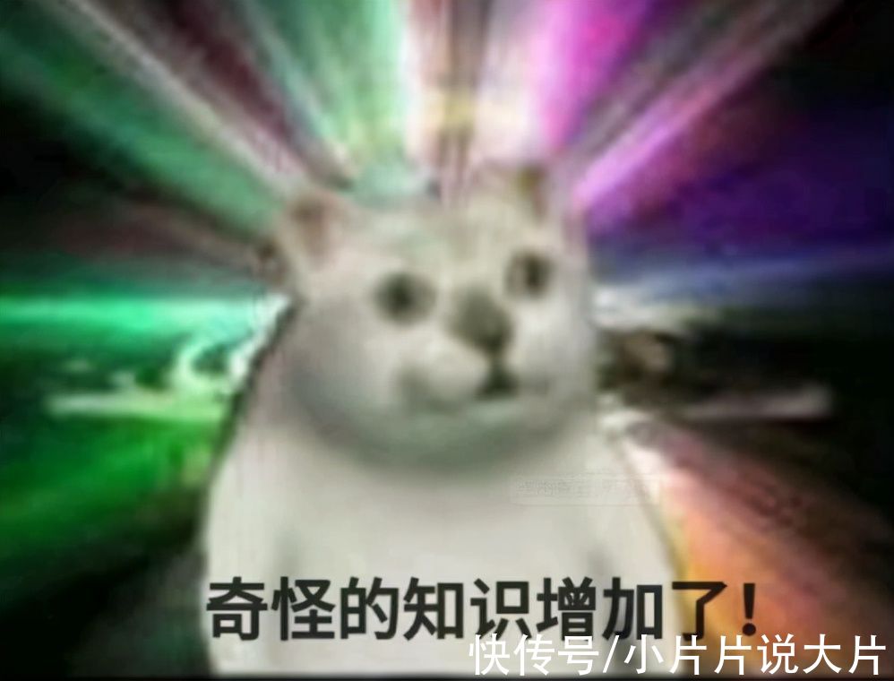 紅了20年的《快樂大本營》，這次是真的「退圈」了