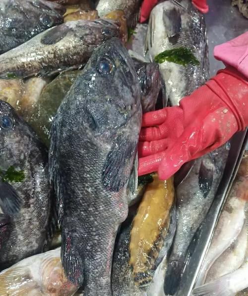 哪里海鲜好吃？