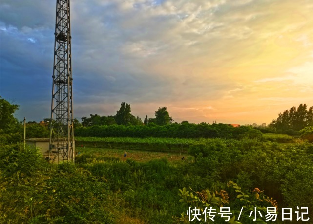 好运|1月中旬，踩中狗屎运，3生肖好运生辉，福气环绕，收获意外惊喜