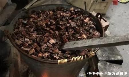 养花|没人要的小东西,可是养花宝贝,捡一点掺盆里,全年不用施肥