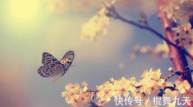 相思门@李白最有争议的一首诗,开篇6字惊艳世人,其中一句千年无人超越