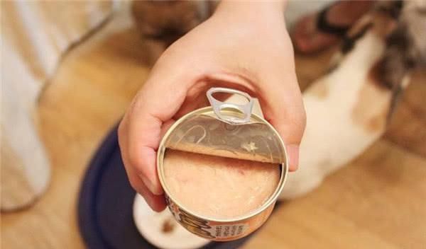时间|99%的罐头能放超长时间,不是因为防腐剂,你是不是也错怪它了