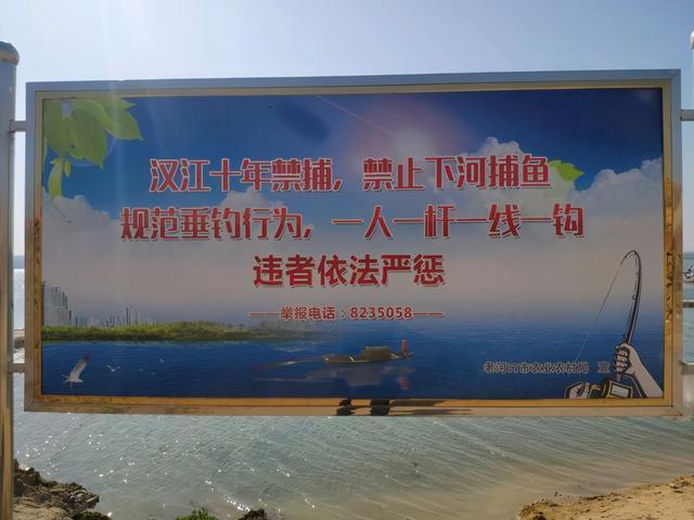 垂钓|钓鱼被刑拘逐渐普遍，普通钓友如何钓鱼这几种行为危险