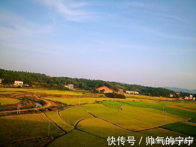 秋韵#【七绝·秋韵】清风伴我不孤行,晨起轩窗有鸟鸣