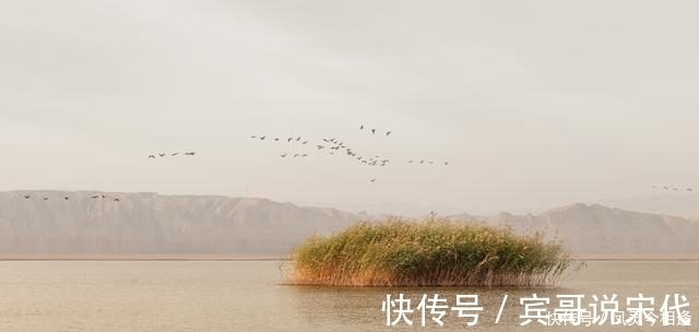 水瓶座|表面放任自流，实则深藏不露的星座，别人眼里是孩子，但城府巨深