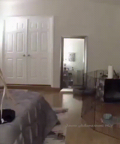 |搞笑GIF美女,你这样撩我容易出事你知道吗