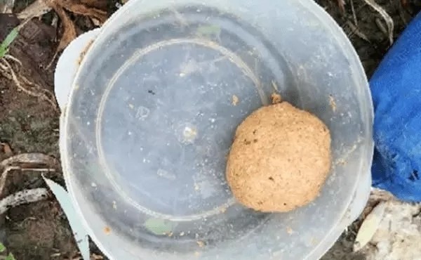 钓鱼开饵技巧,腥味饵料不是万能的,这样搭配才更有效果!