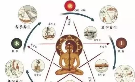 肝主筋,肾主骨,脾主肉,心主脉,肺主皮毛!收了吧!