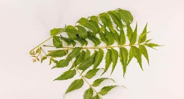  子宫肌瘤的“死对头”, 女人经常吃一点, 活血祛瘀, 子宫更健康