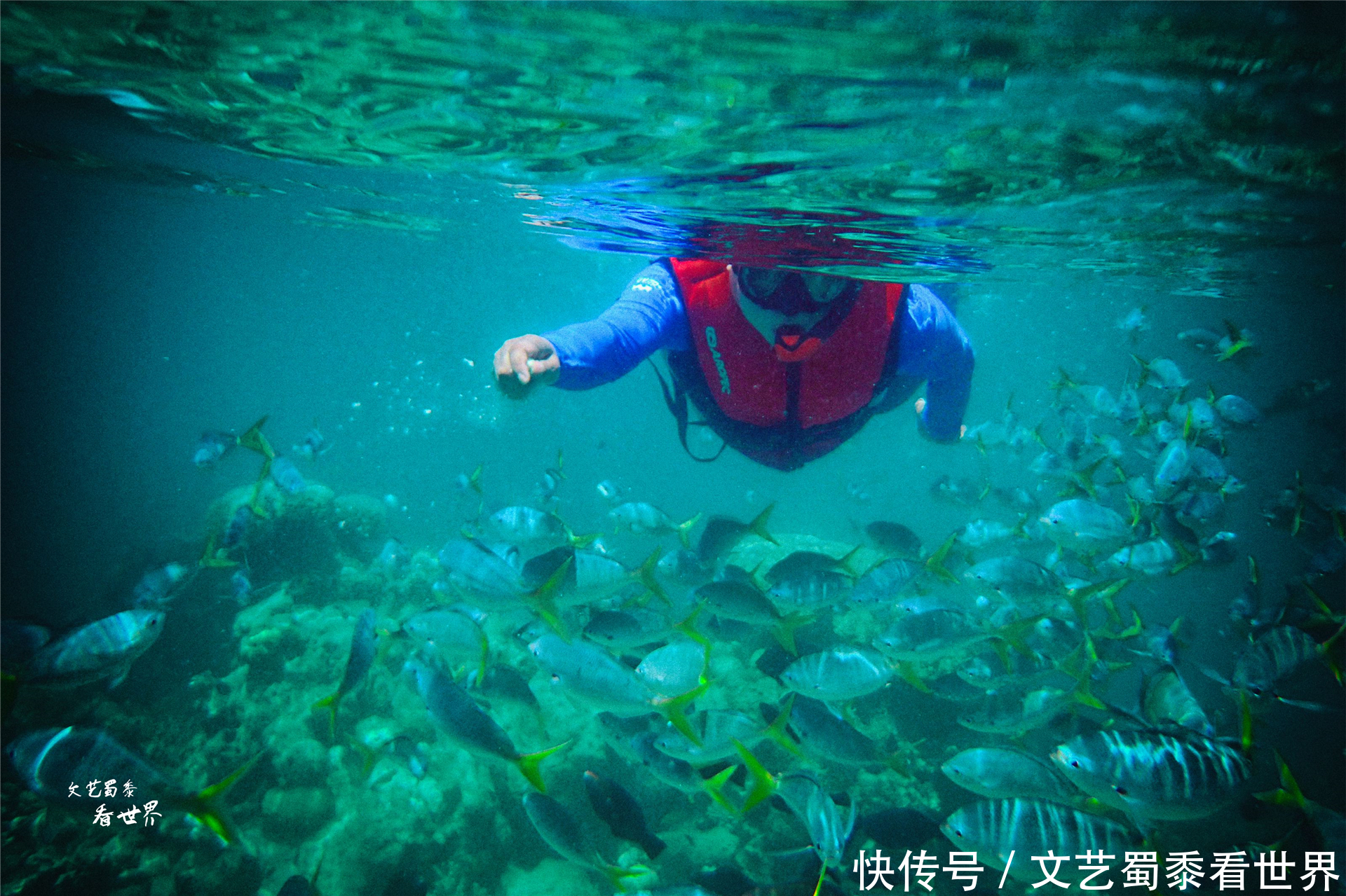 中年|承认吧!2021年你根本不敢一个人去旅行