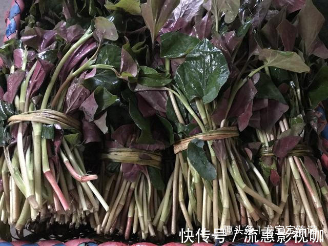 城里人|农村里不值钱几种野菜,都是城里人的抢手货,第6种80块钱1斤