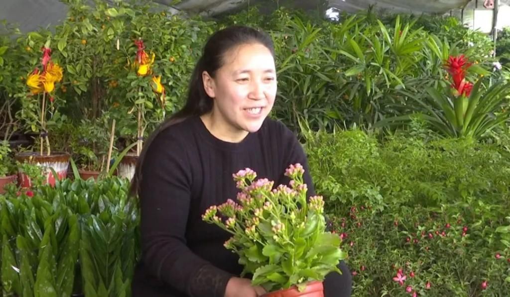 春天在传递幸福的花房里