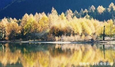 太精明的男人,格局都不大!(深度好文)