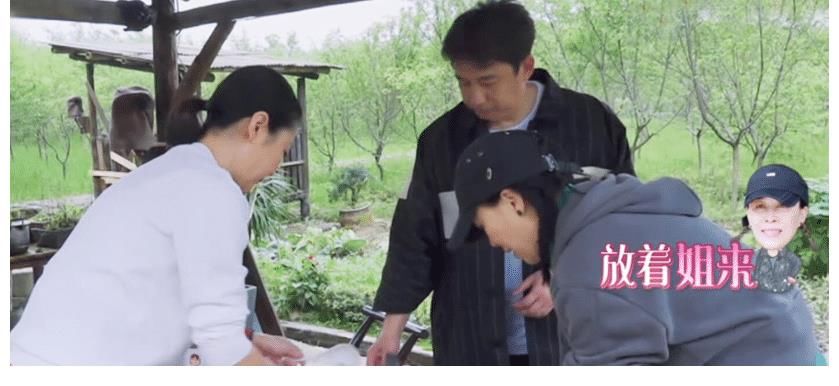 美味佳肴|那英調(diào)侃后悔沒有邀請王菲來《向往5》做客, 原因笑翻大家